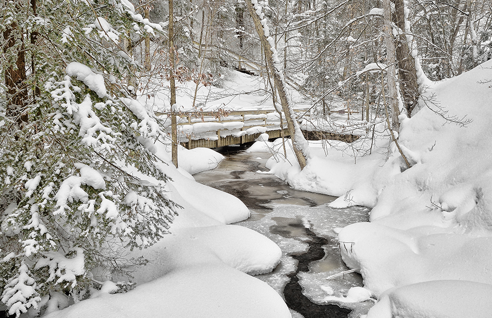 Winter Hiking Tips: Don’t Chicken Out - Gear Up and Get Moving!