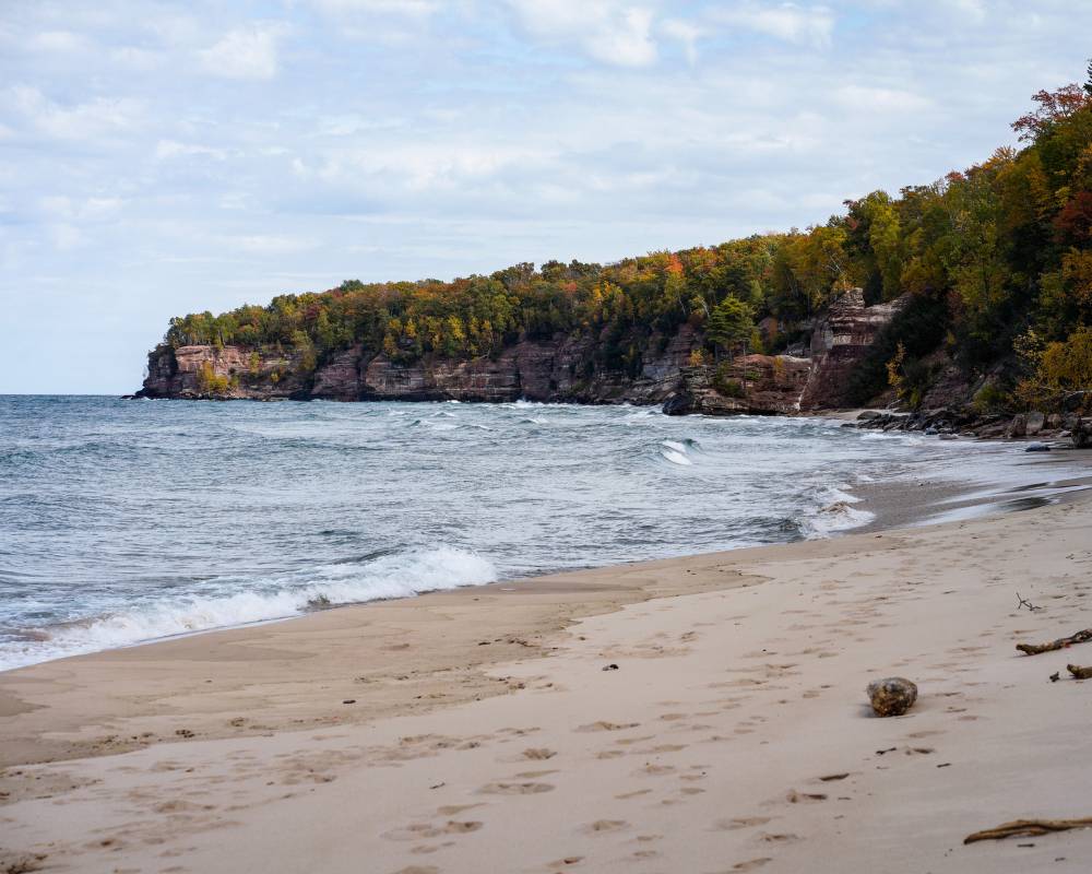 Made in Michigan gears