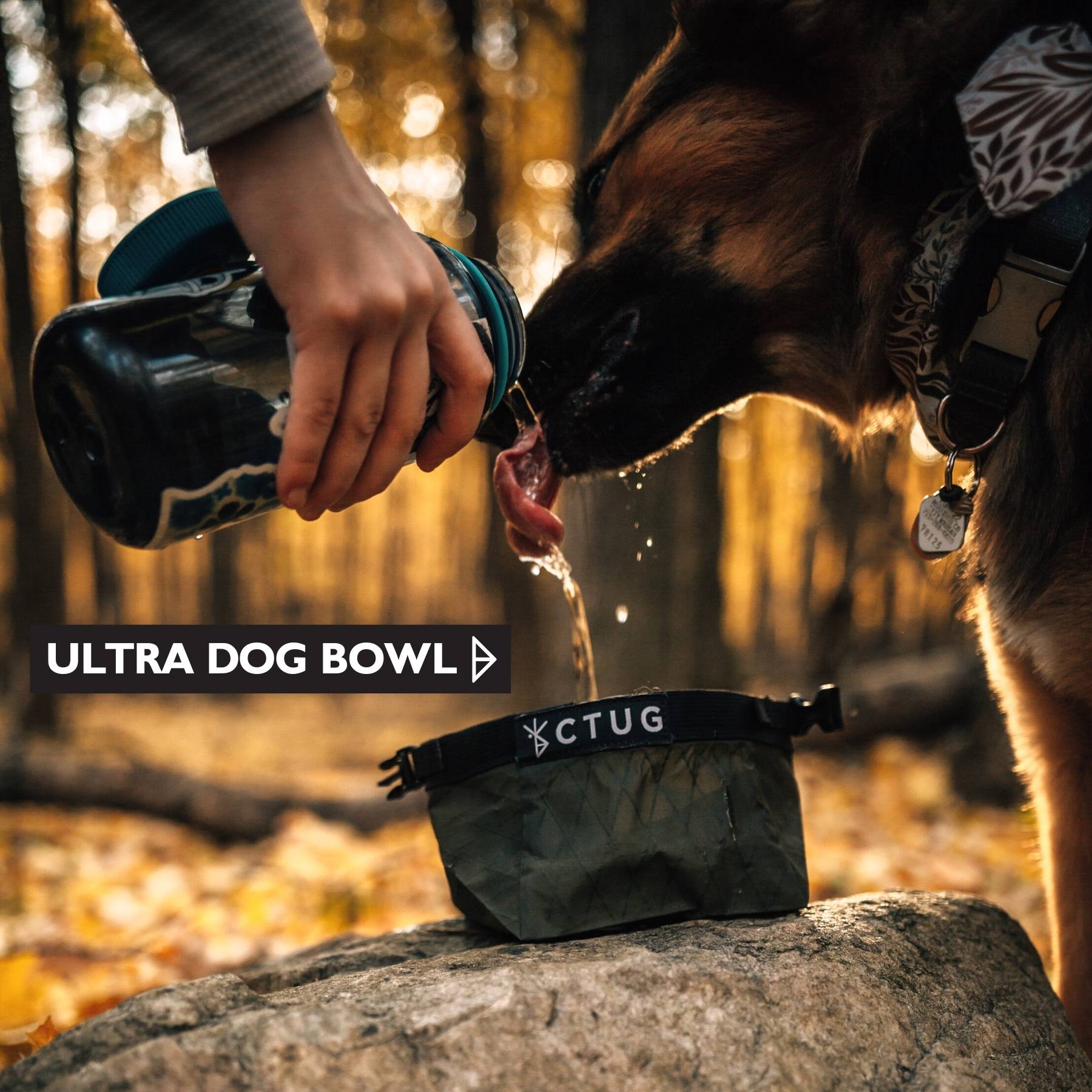 ULTRA DOG BOWL