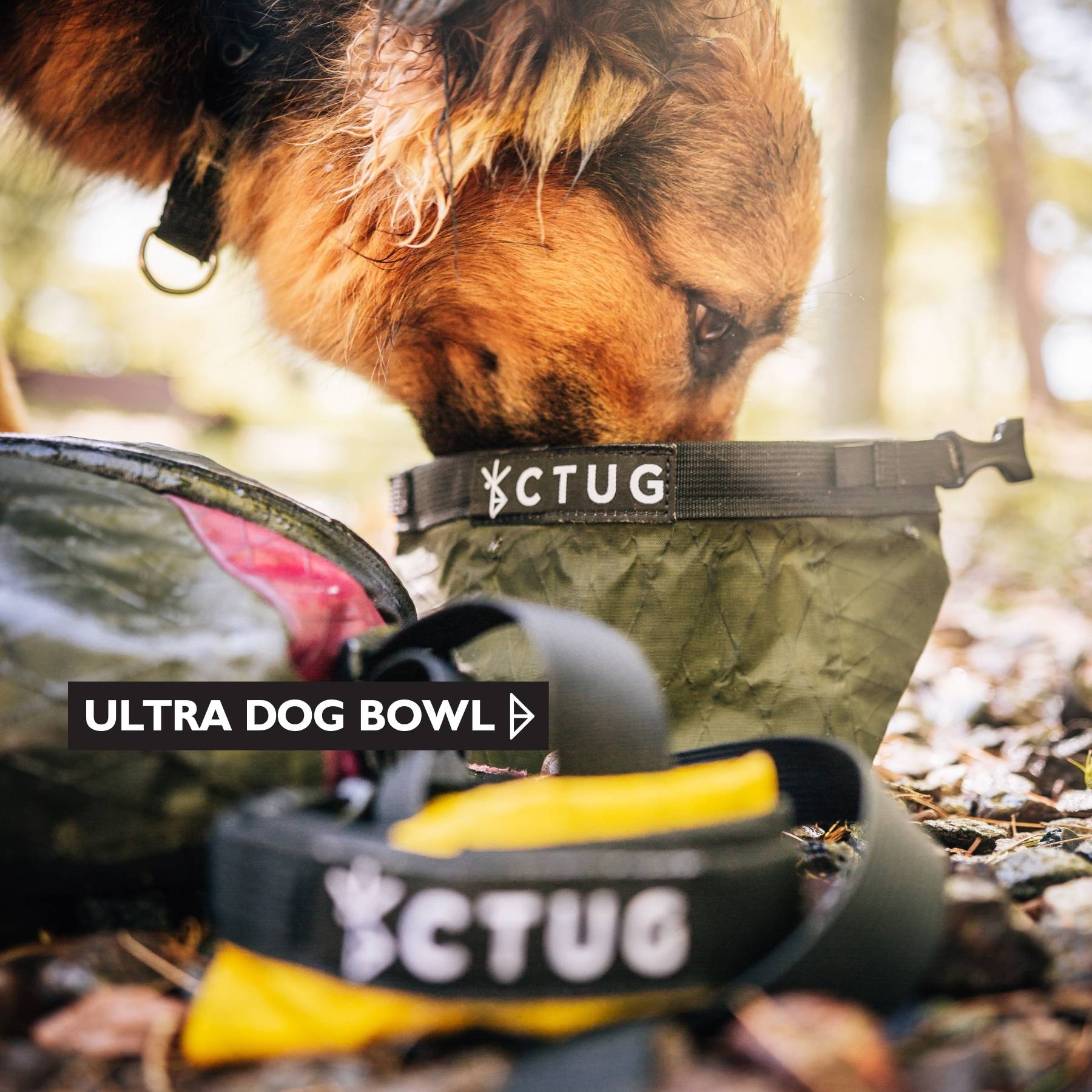 ULTRA DOG BOWL